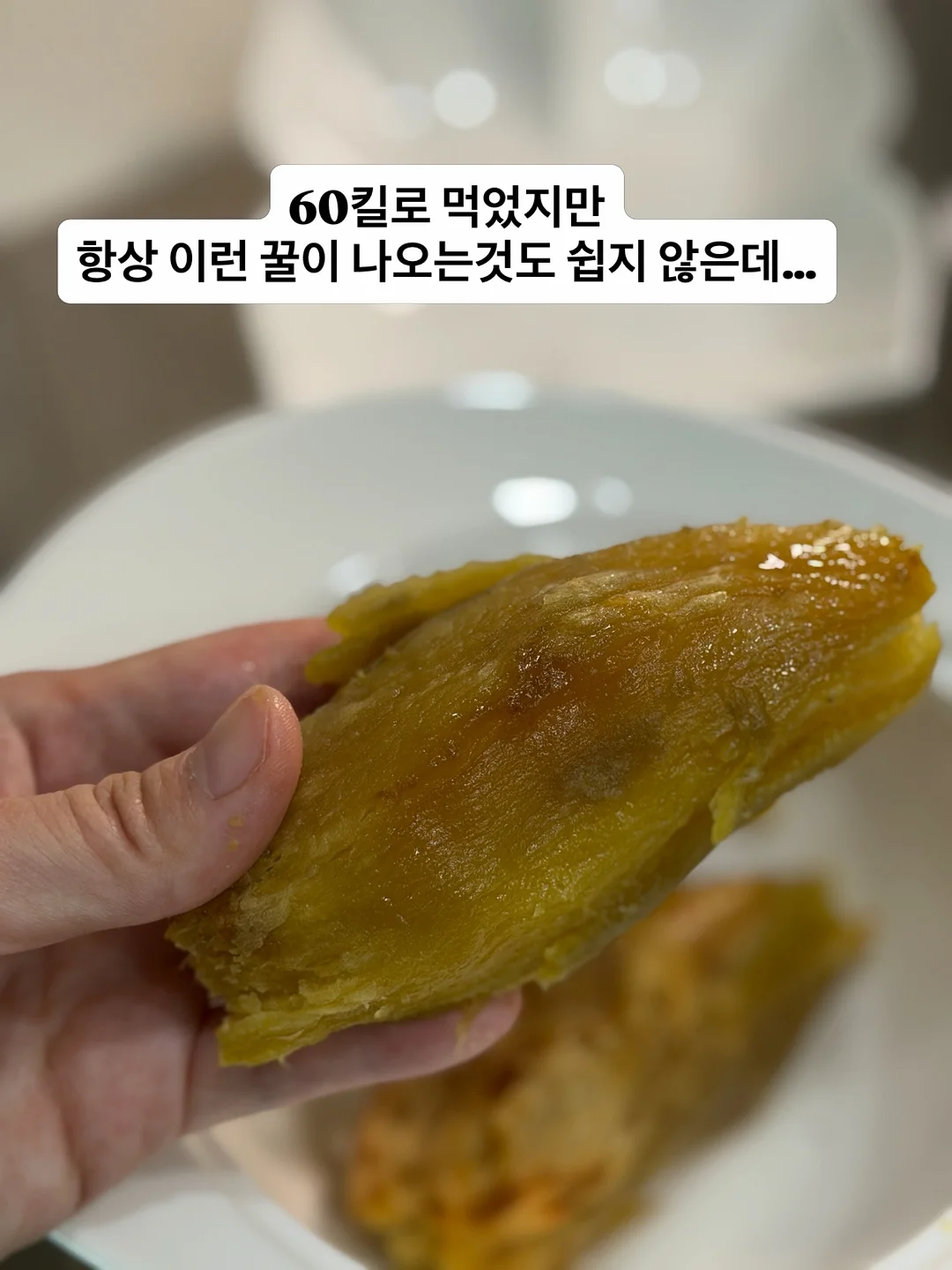 데븐 유니버셜 가변바디 11