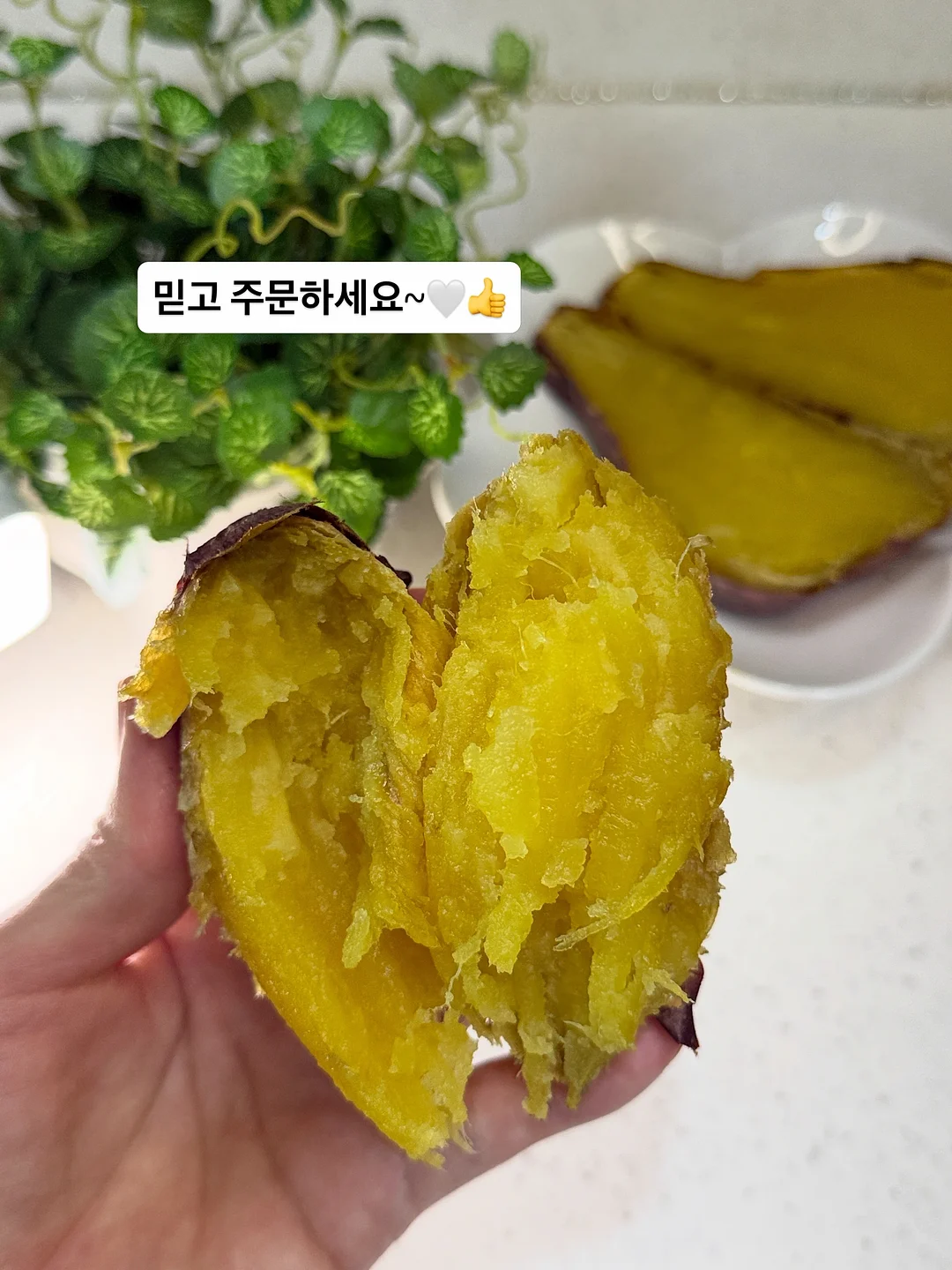 데븐 유니버셜 가변바디 19