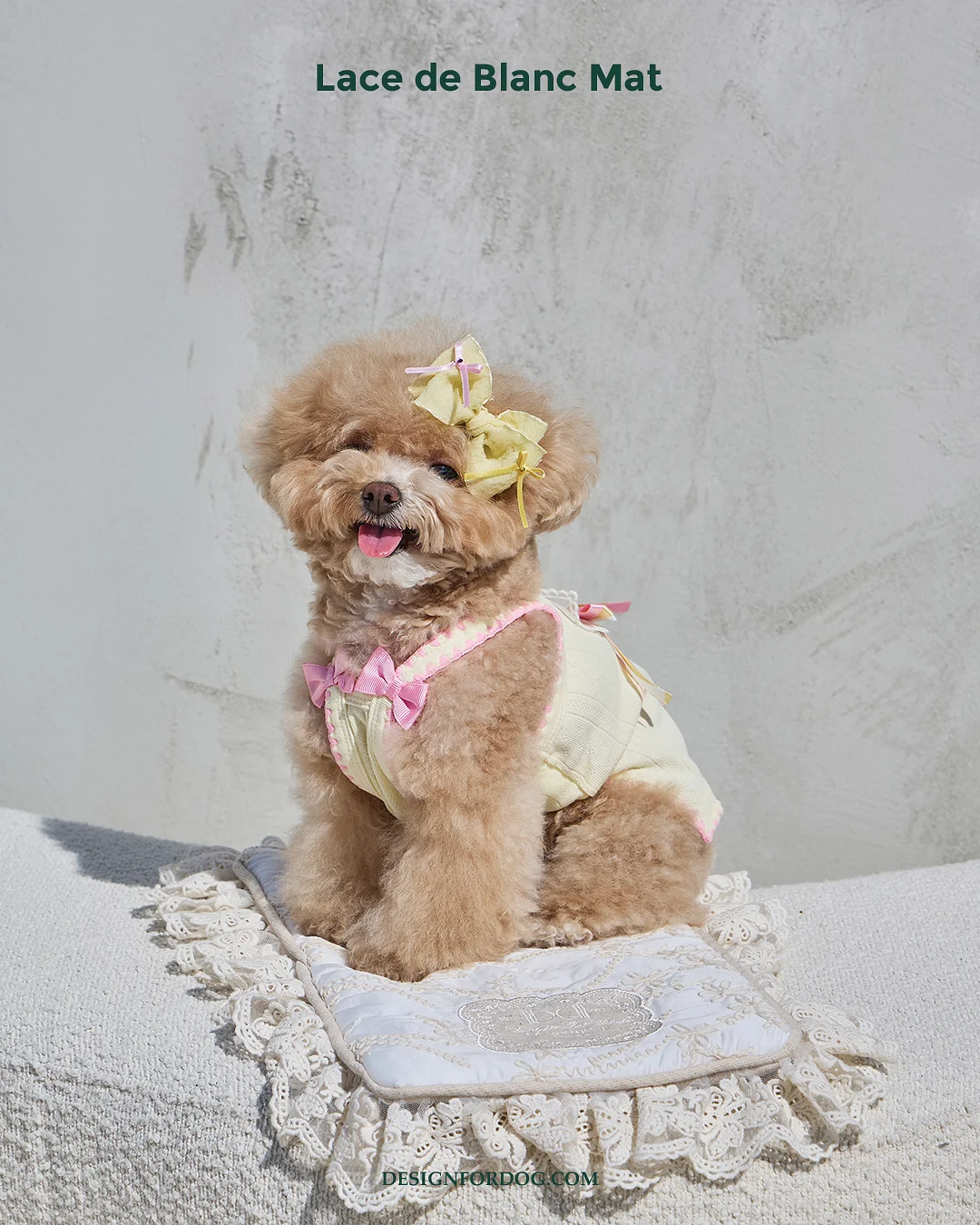 사주명리 상담 2