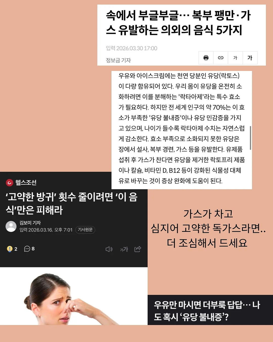 알프레드 아들러 심리학 책 11