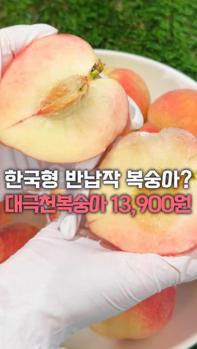 스폰지밥 키캡 키링