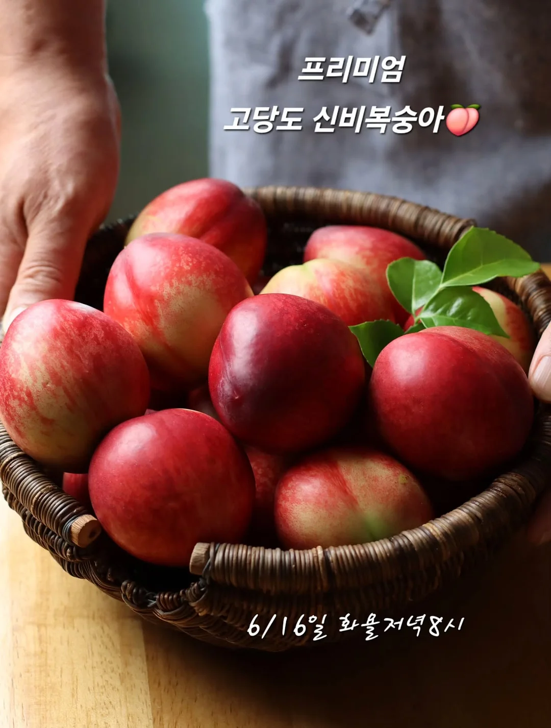 플리츠 원피스 1