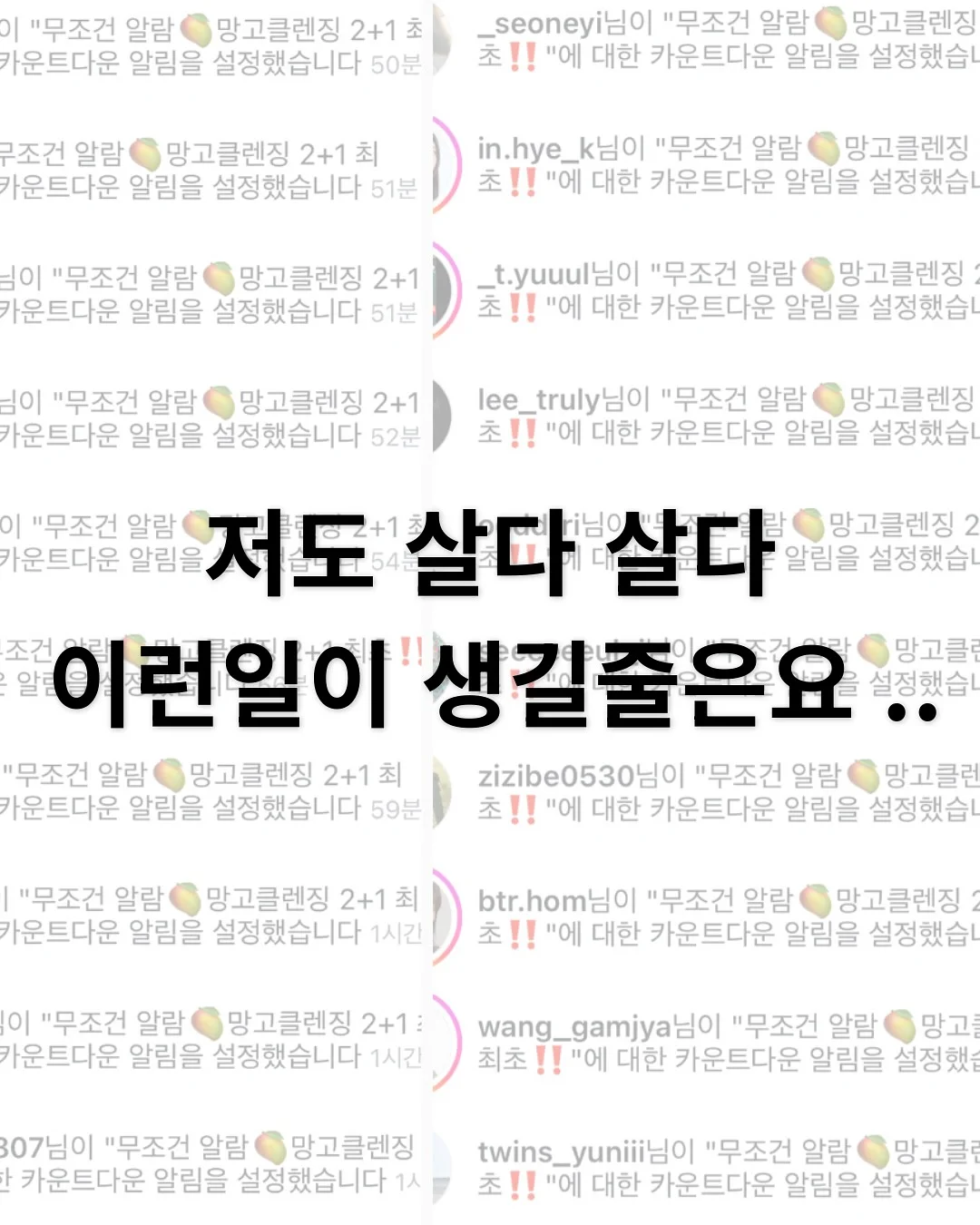 핑크퐁 아기상어 비건젤리 1