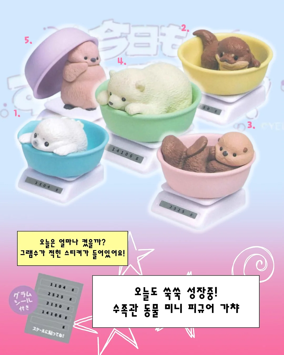 치즈칩 6