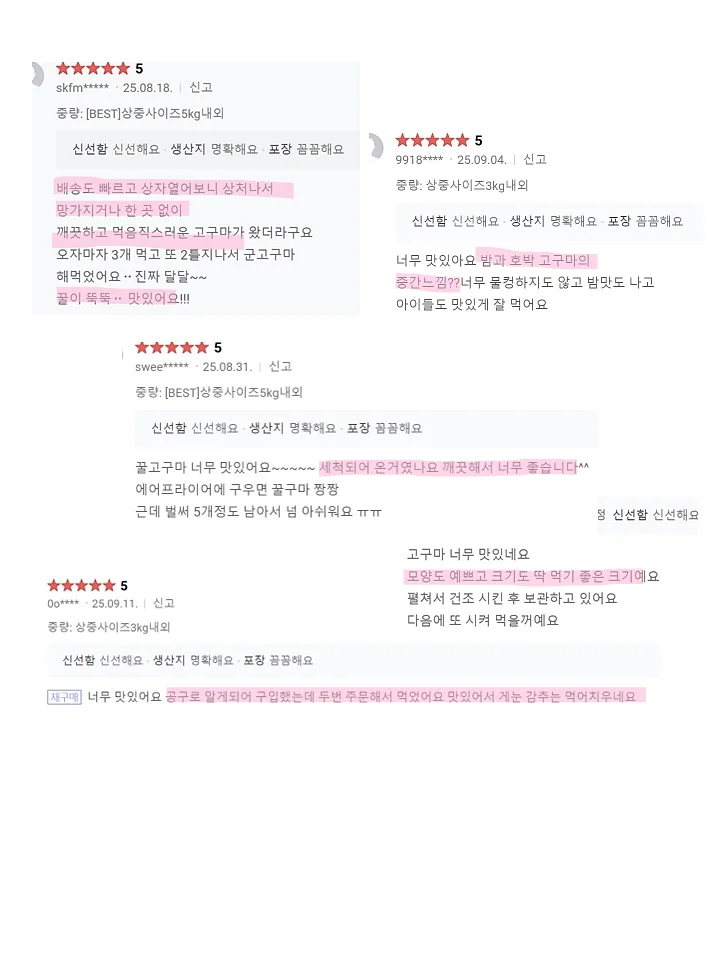 우아 블라우스 6