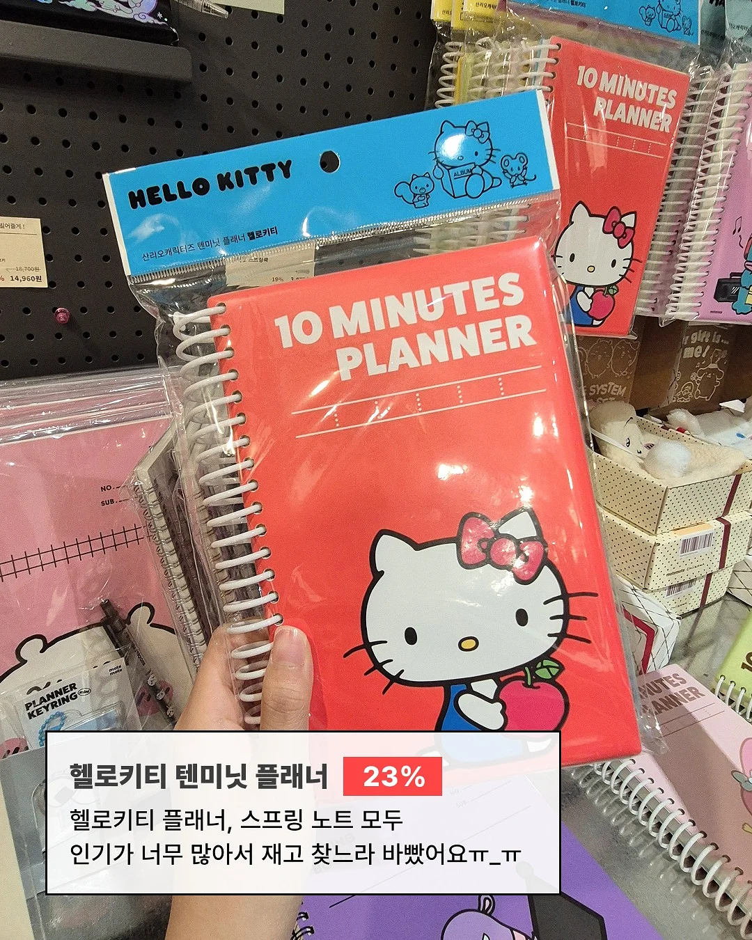 치즈플로 플래터 박스 6