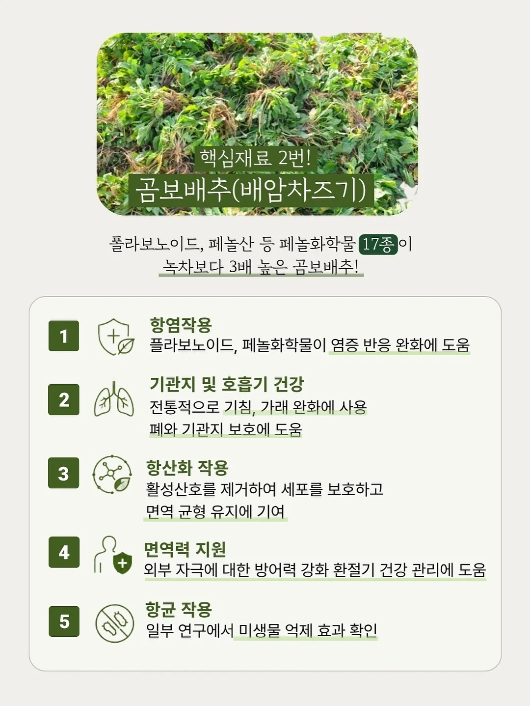 별의 커비 행복한 커비룸 랜덤 피규어 11
