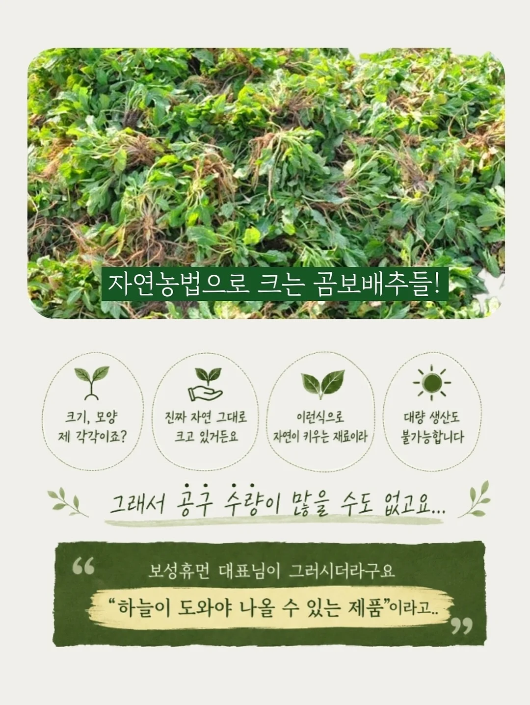 별의 커비 행복한 커비룸 랜덤 피규어 12