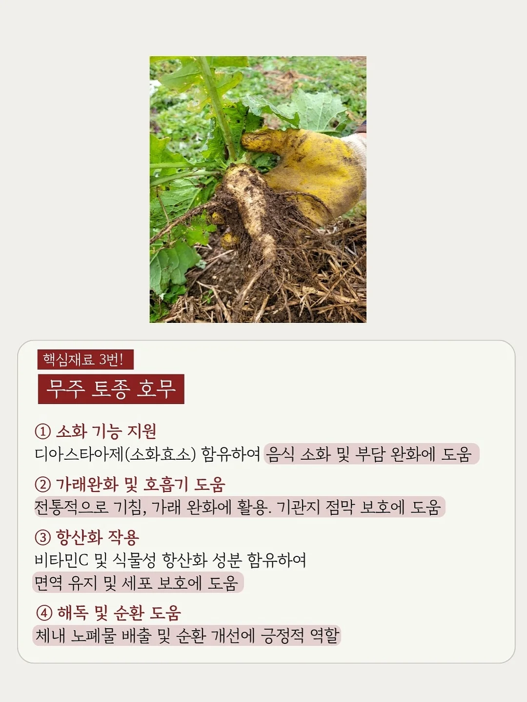 별의 커비 행복한 커비룸 랜덤 피규어 13