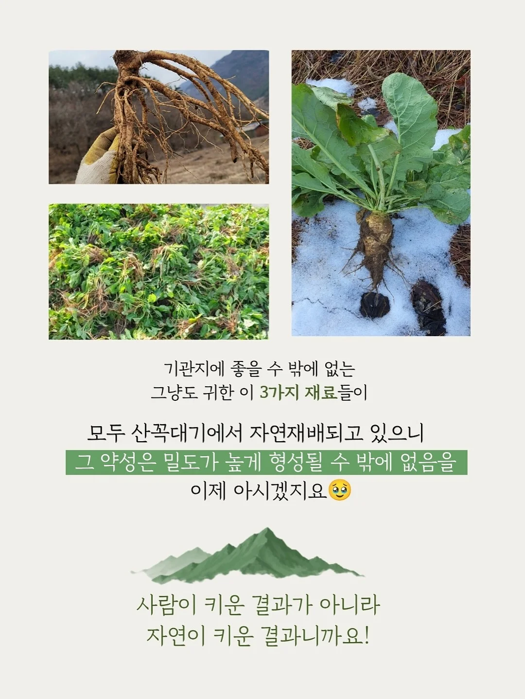 별의 커비 행복한 커비룸 랜덤 피규어 16