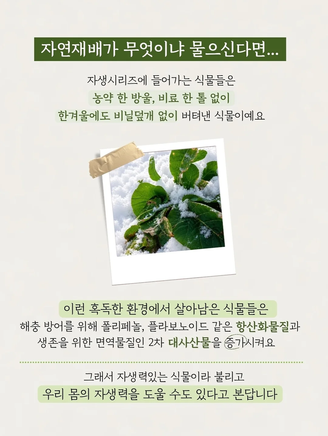 별의 커비 행복한 커비룸 랜덤 피규어 6