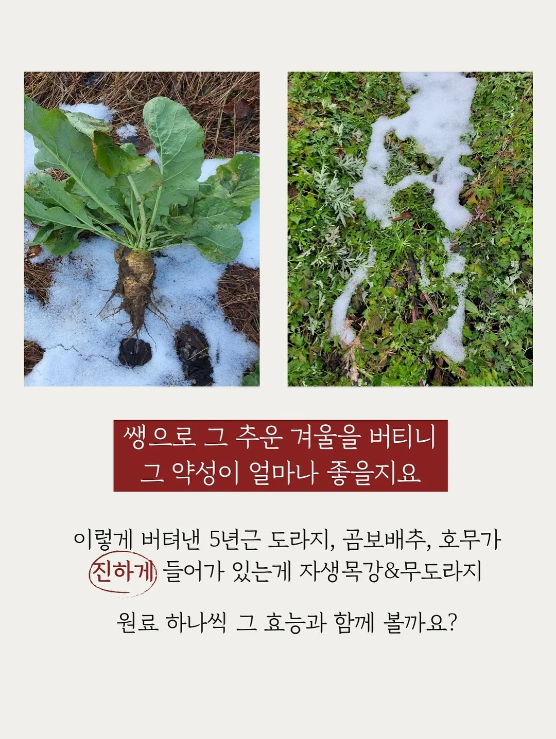 별의 커비 행복한 커비룸 랜덤 피규어 8