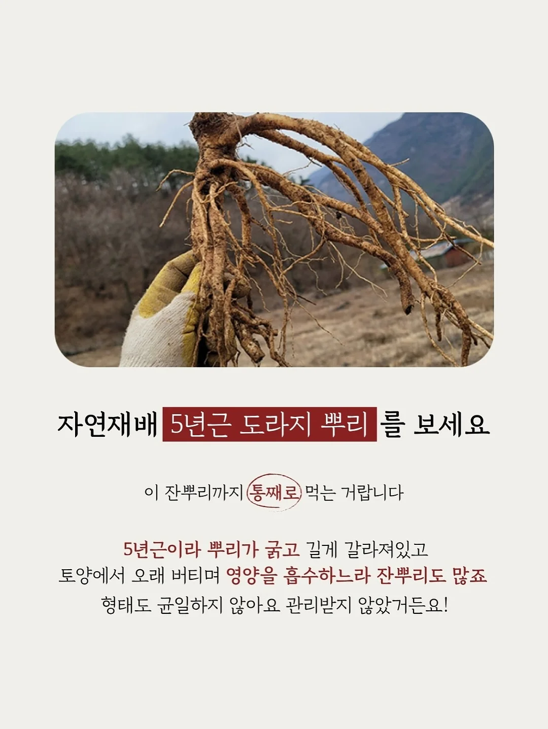 별의 커비 행복한 커비룸 랜덤 피규어 10