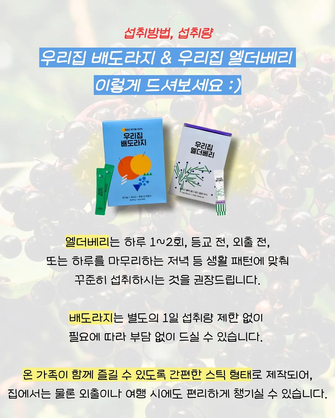 상체 루틴 8