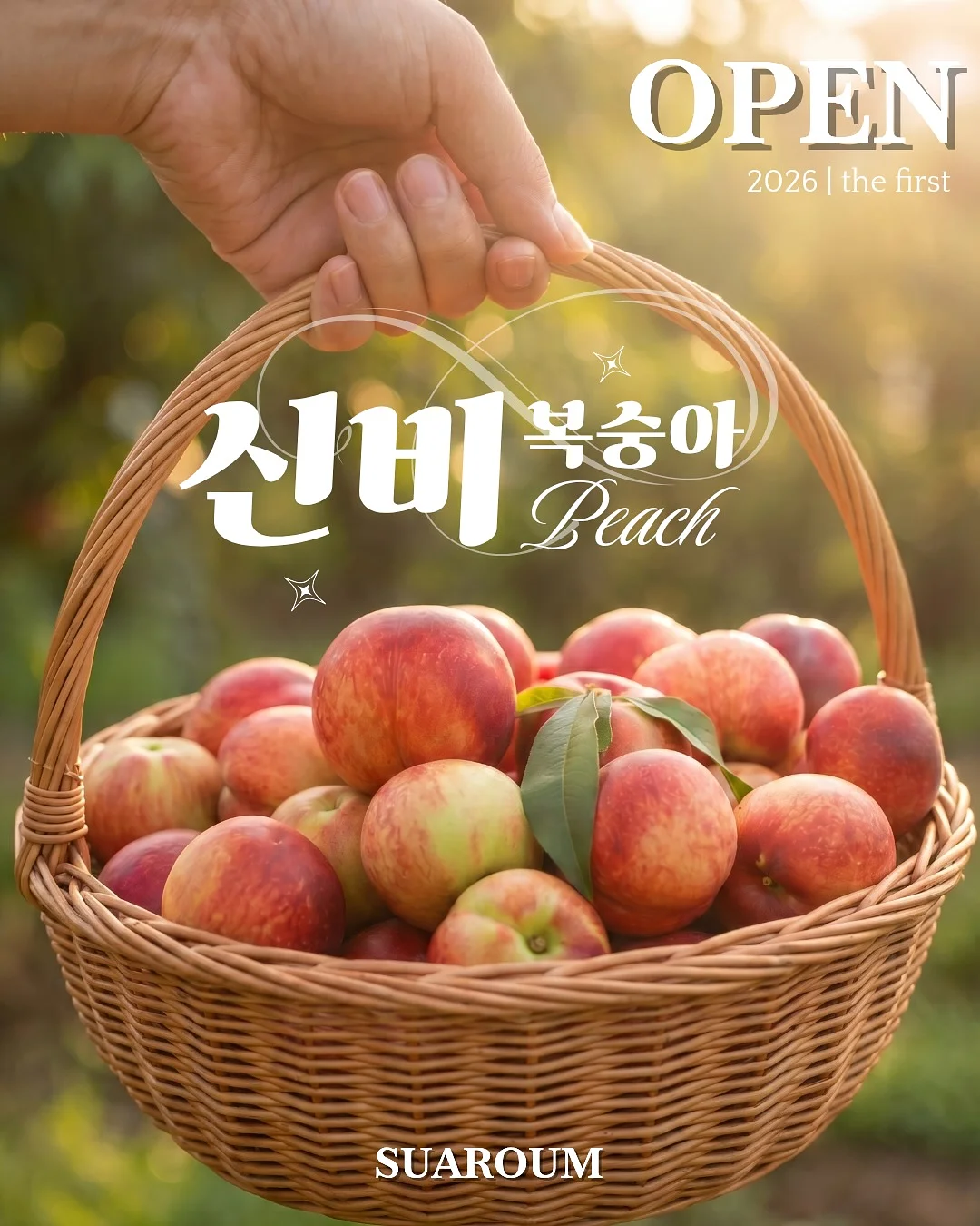 레몬청 1