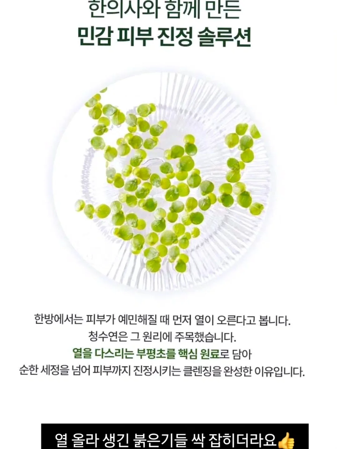 소랑소랑인제주 숙소 6