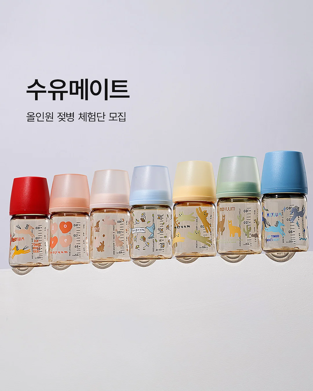 초경 굽칼 1