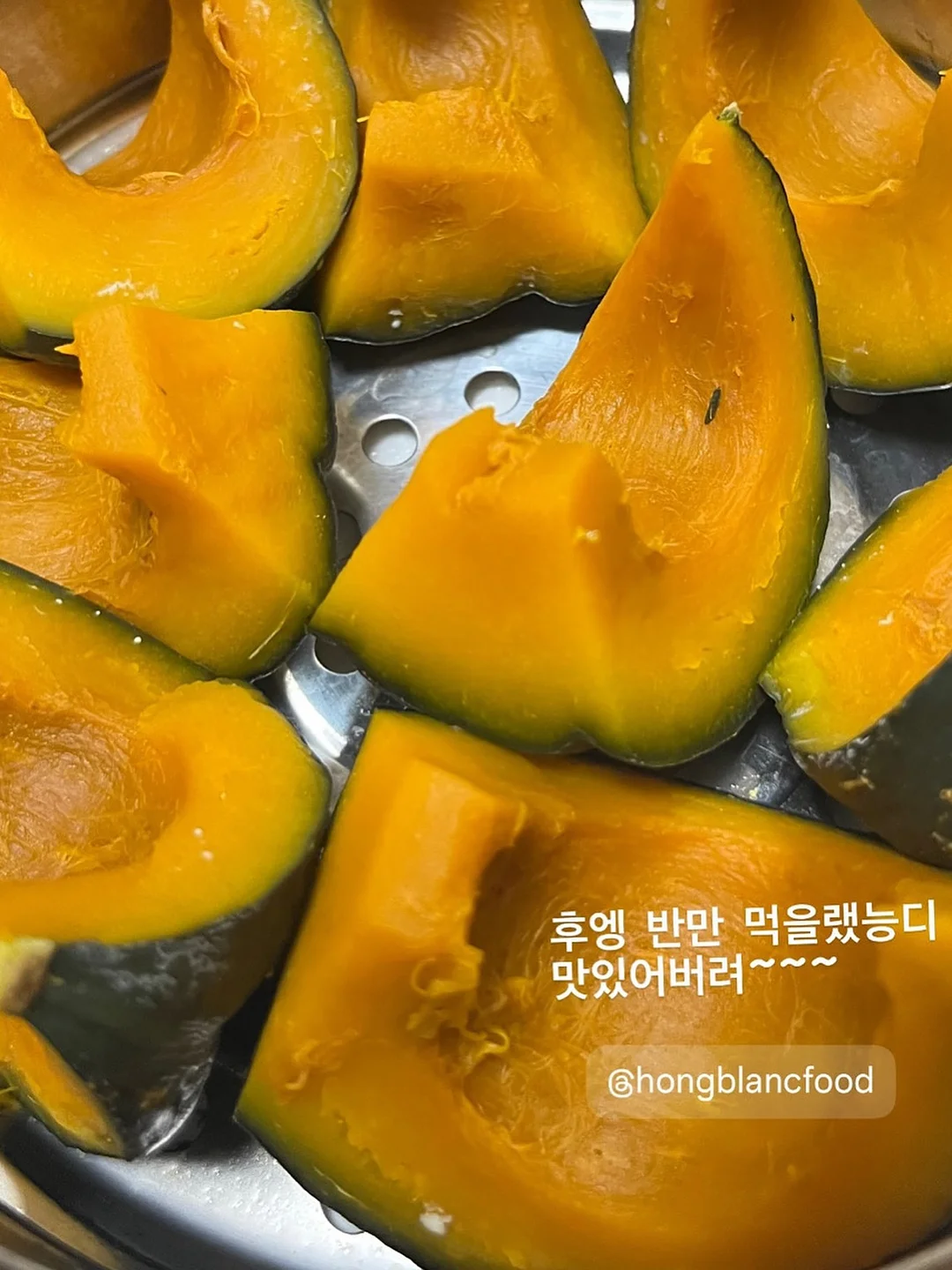 정전기 먼지 털이 브러쉬 12
