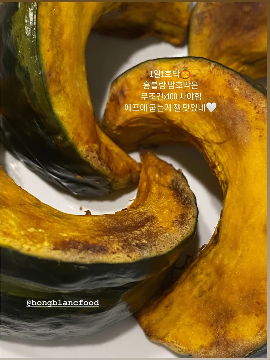 정전기 먼지 털이 브러쉬 9