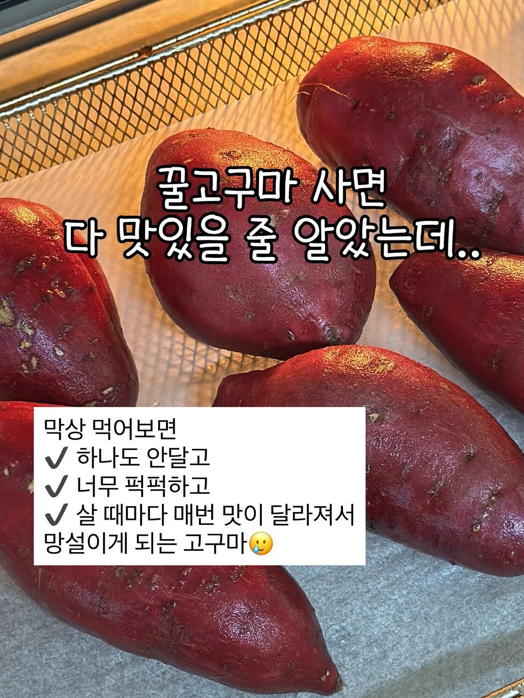 시스템 백로고래글런슬리브탑 & 더블핀턱쇼츠 4