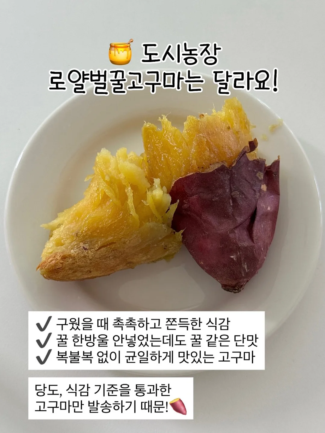 시스템 백로고래글런슬리브탑 & 더블핀턱쇼츠 5