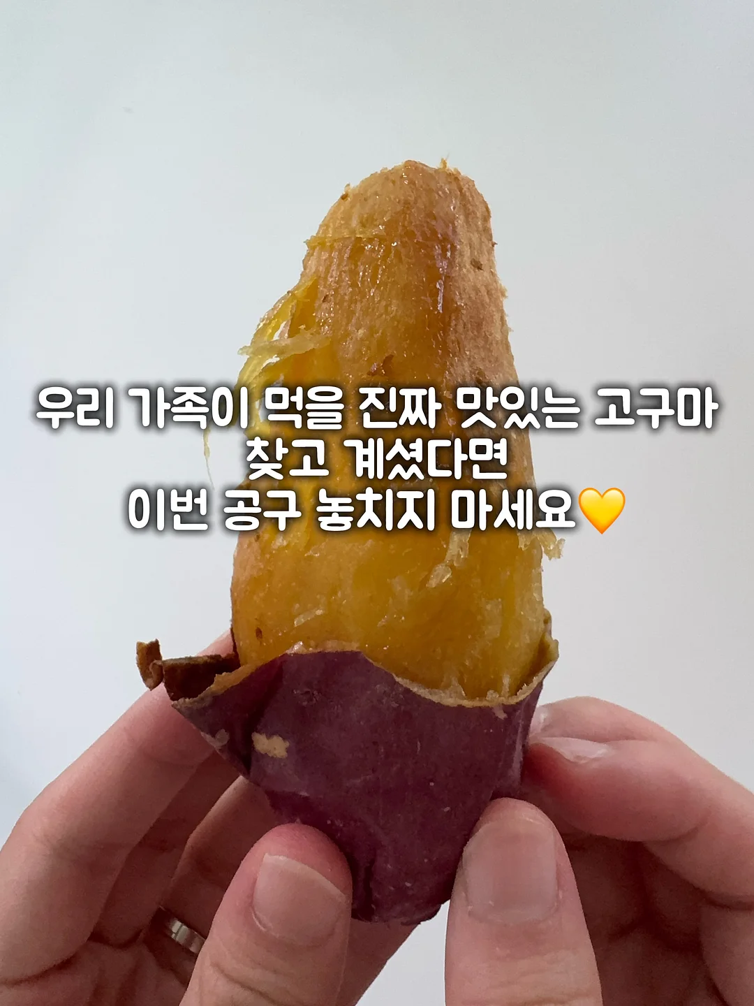 시스템 백로고래글런슬리브탑 & 더블핀턱쇼츠 10