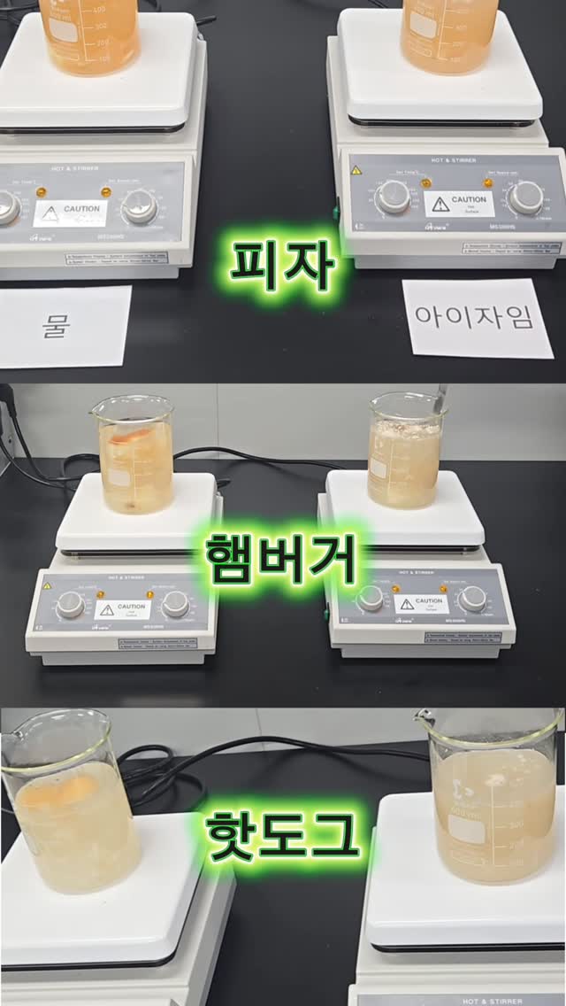 레이스 셔츠