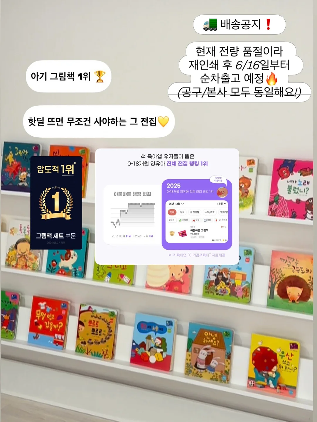 몬탱볼 6