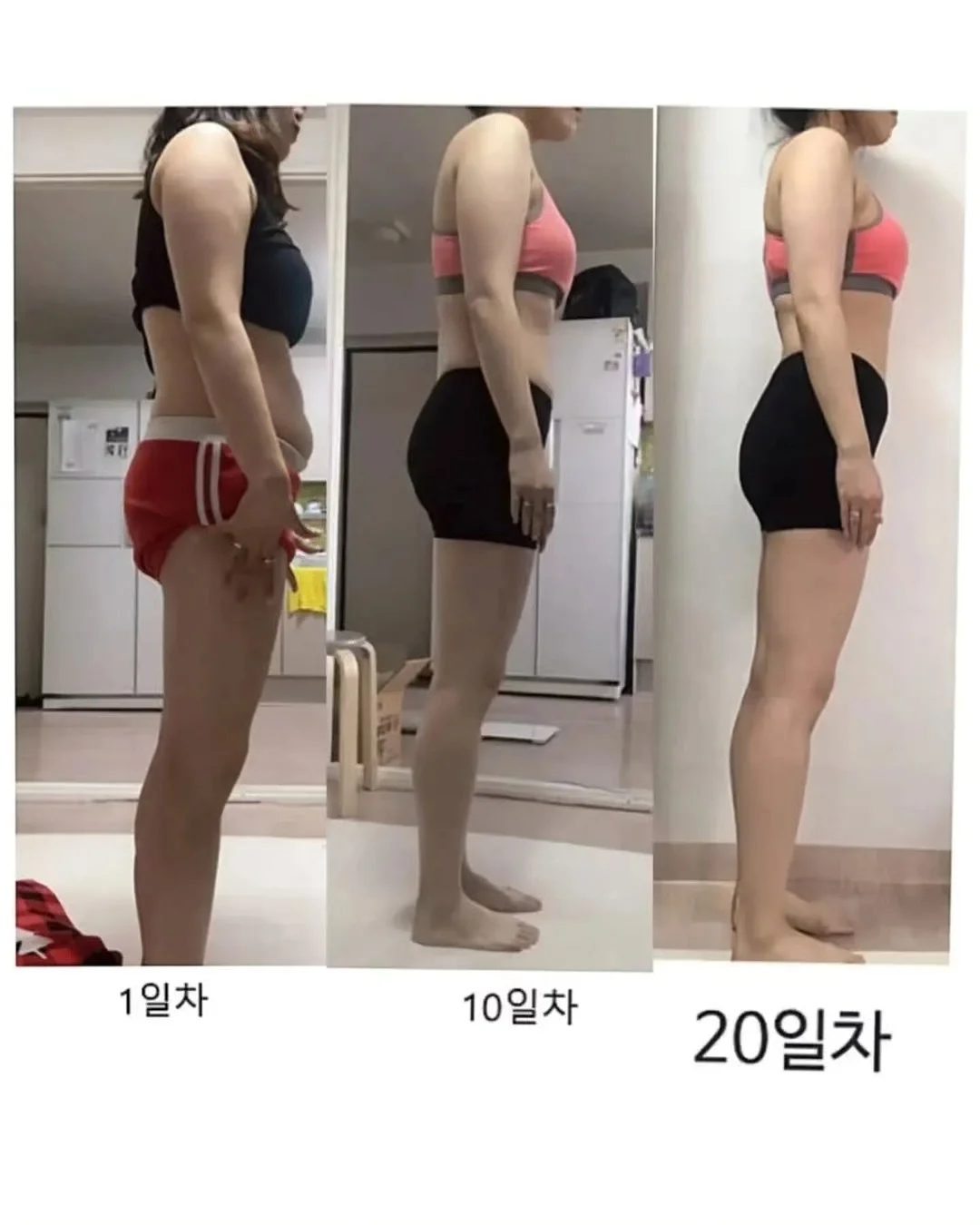 락앤락 투고 런치박스 4