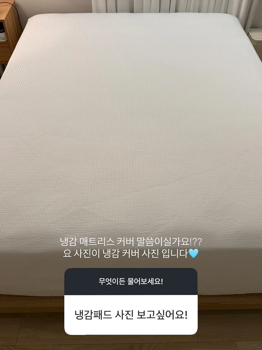 크랜베리 17