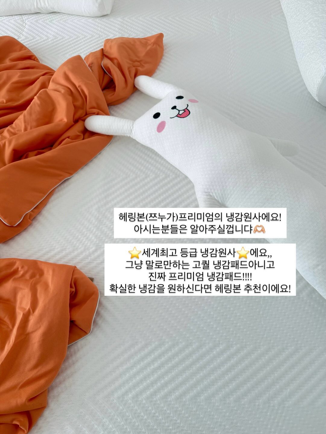 스파톤 애플 액상철분 2