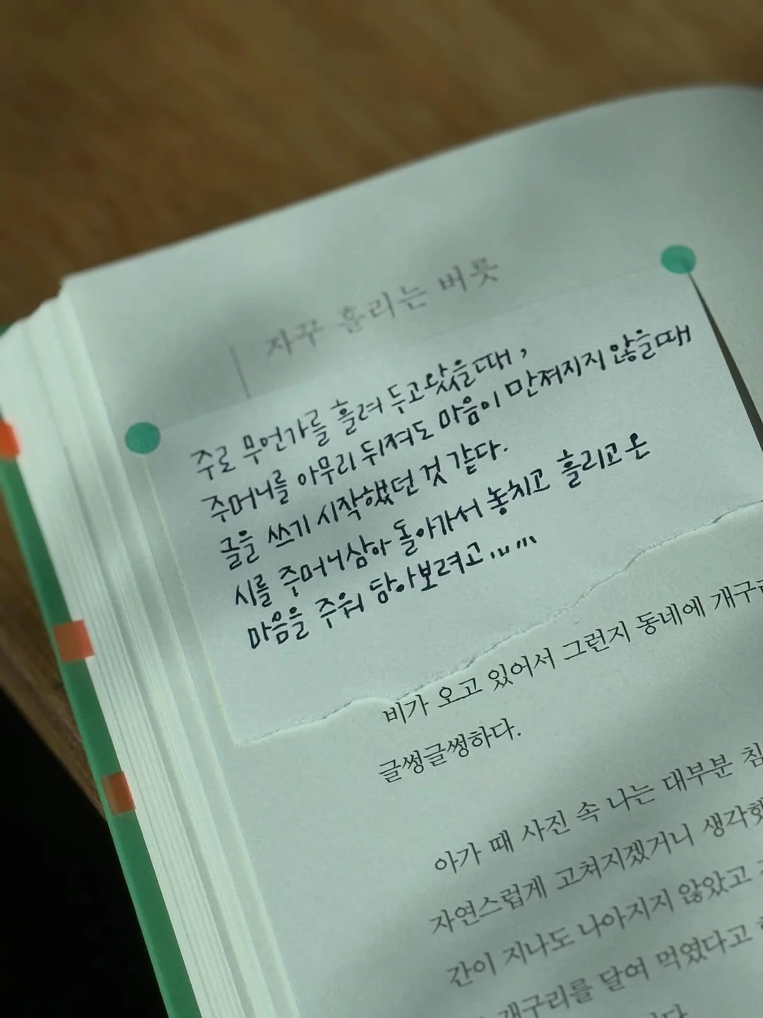 이꽃을너에게 라지 화분 2