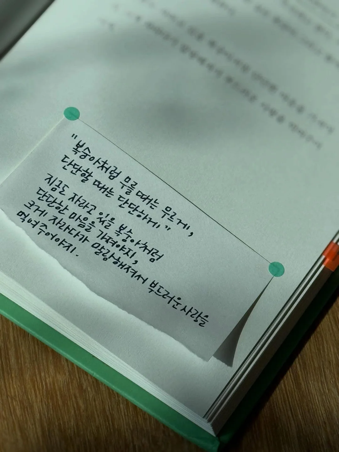 이꽃을너에게 라지 화분 3