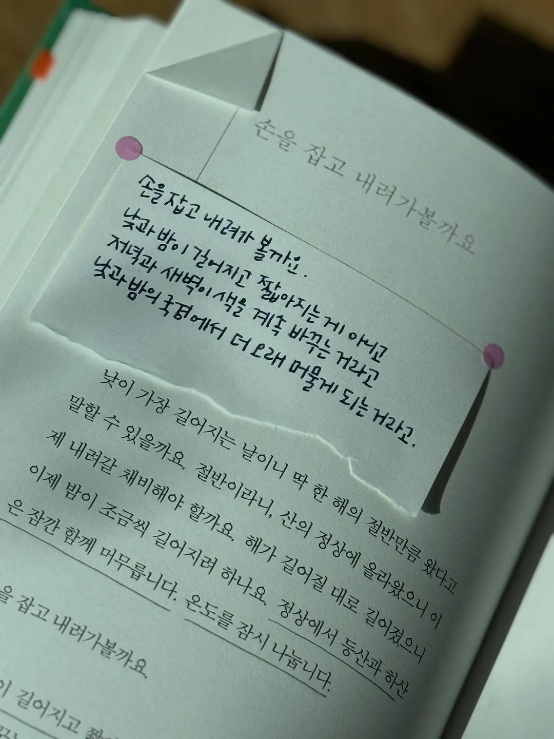 이꽃을너에게 라지 화분 4