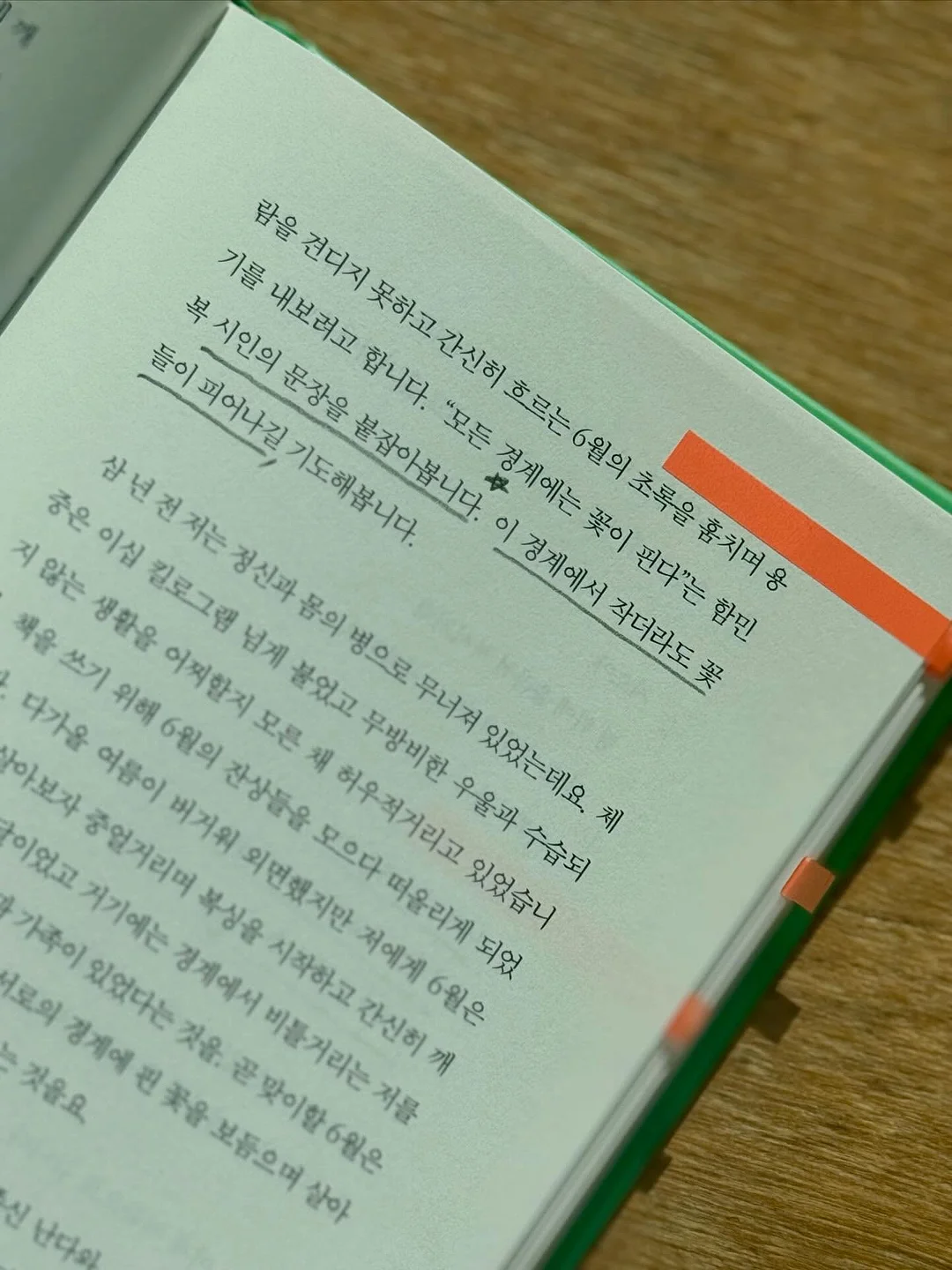 이꽃을너에게 라지 화분 8