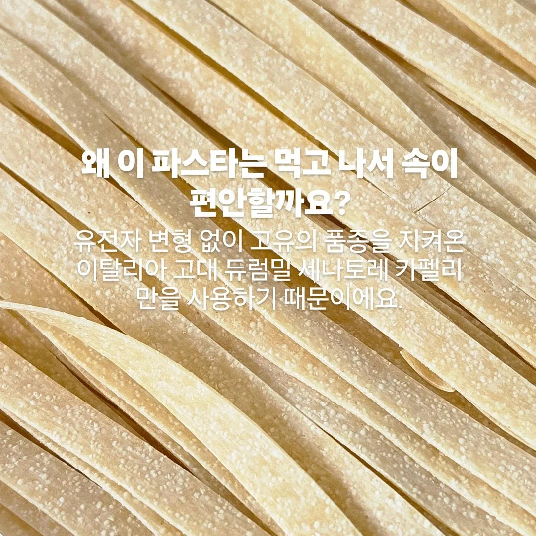 지제로 포켓 레이어드 반팔티 화이트 3