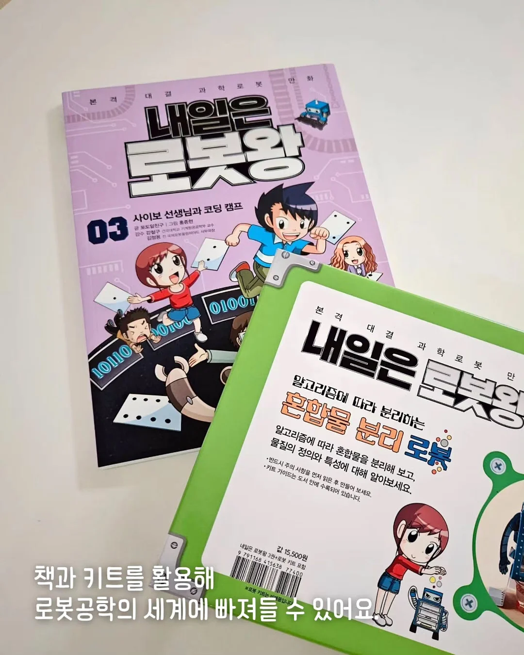 알배기가자미 16