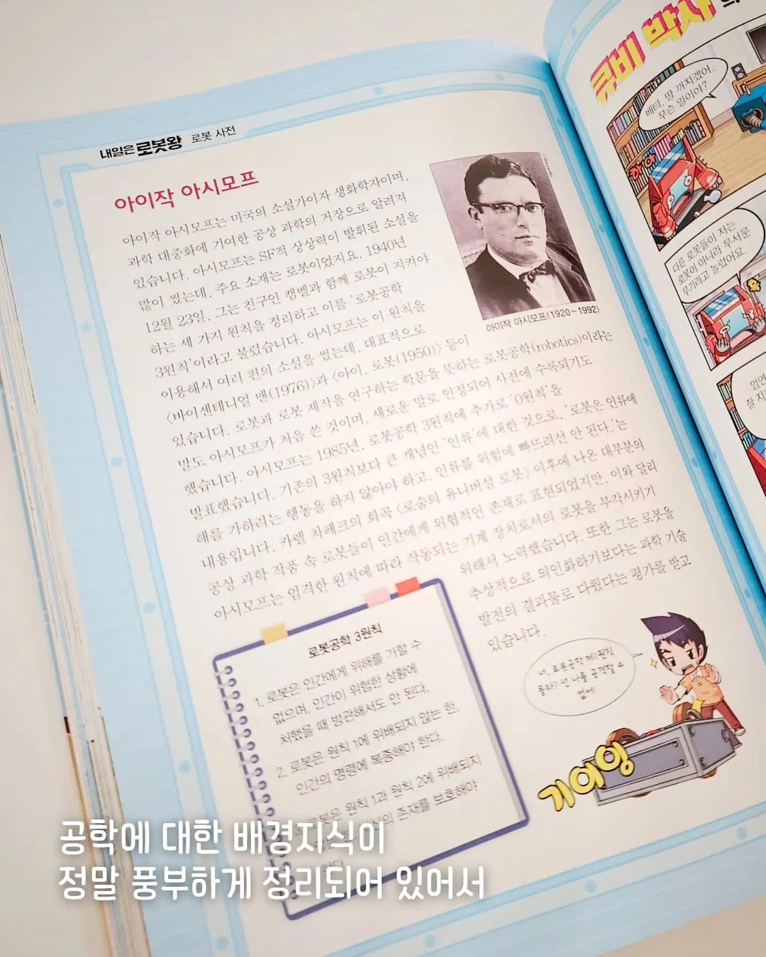 알배기가자미 8