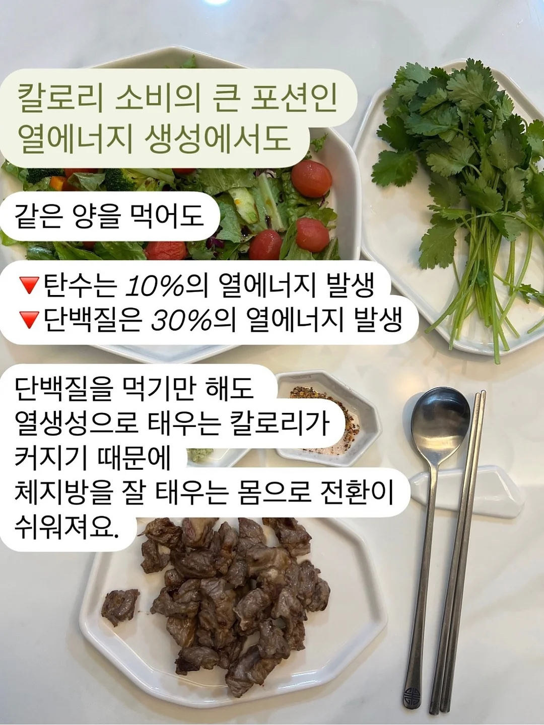 넥톡스 재생쿠션 12