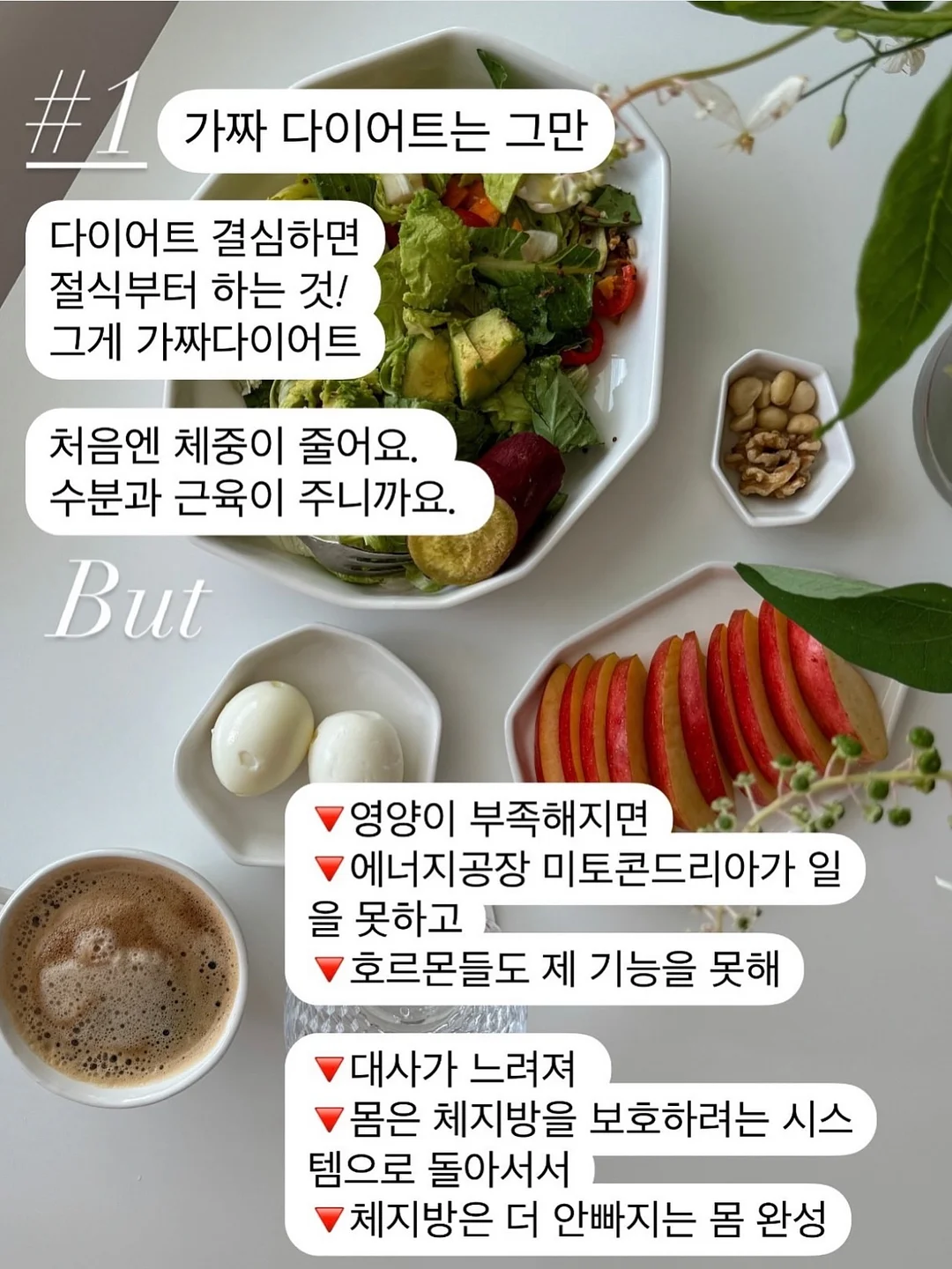 넥톡스 재생쿠션 2