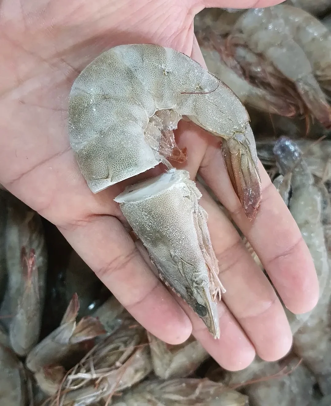 샤넬 남자지갑 1