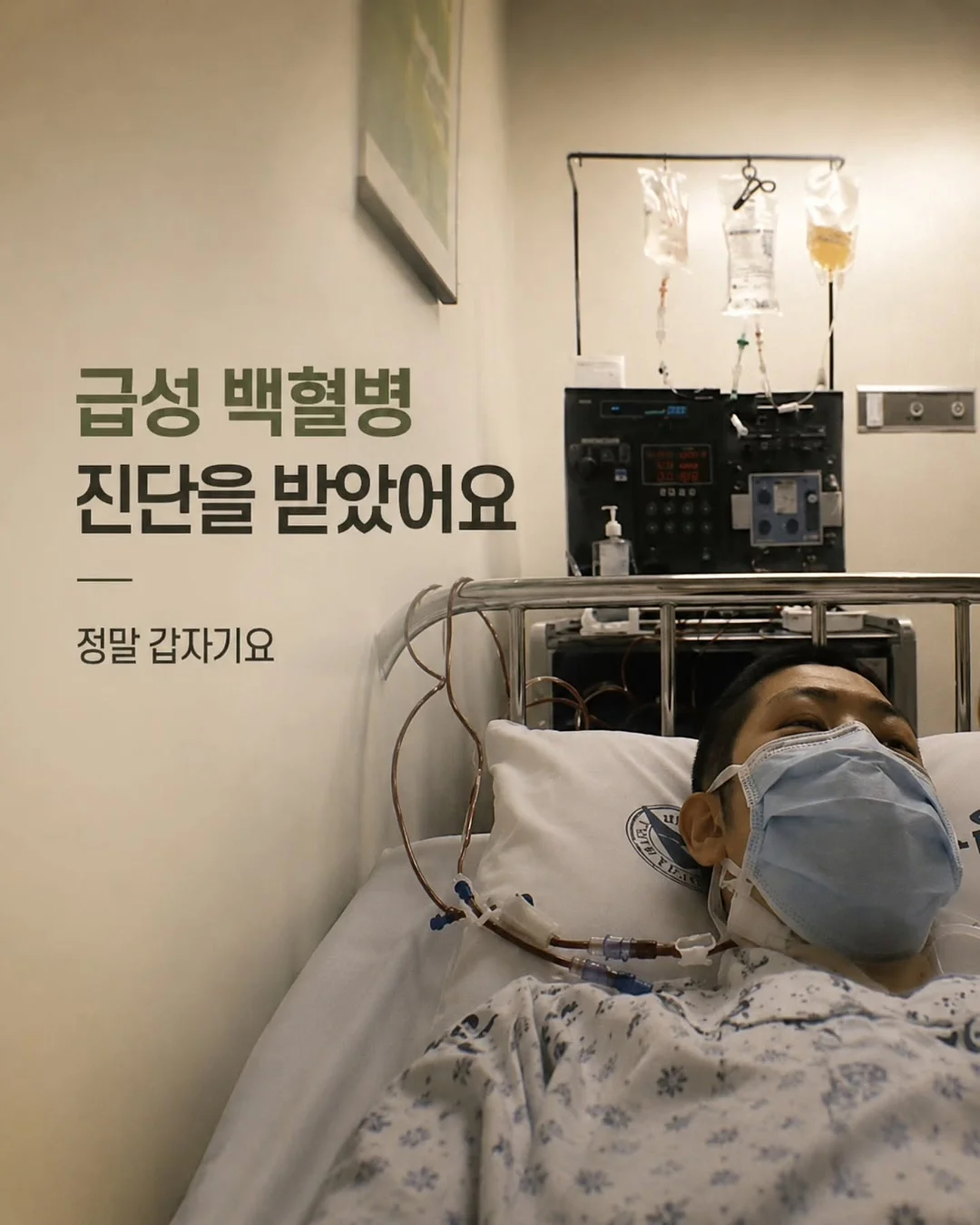 보보담 보자기케이크 1