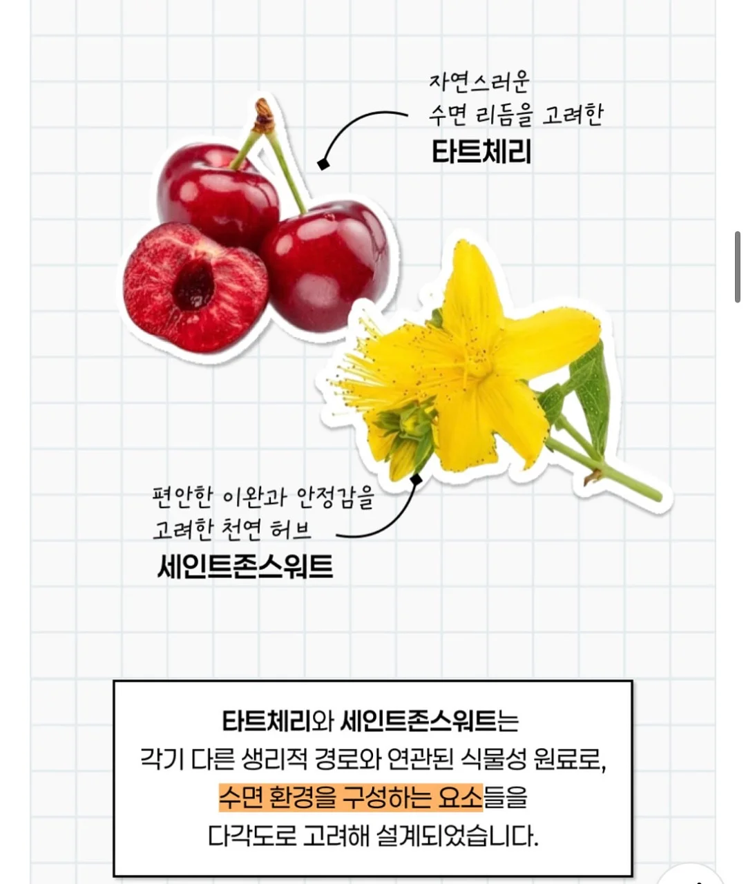 사과 4