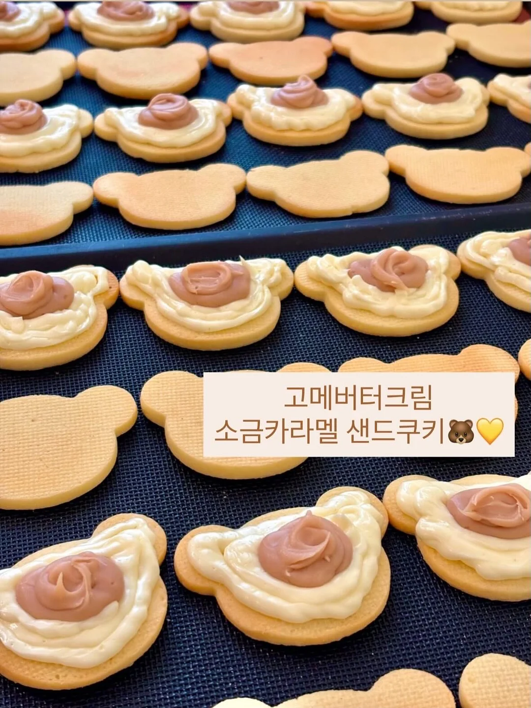 프리웨이 티 12