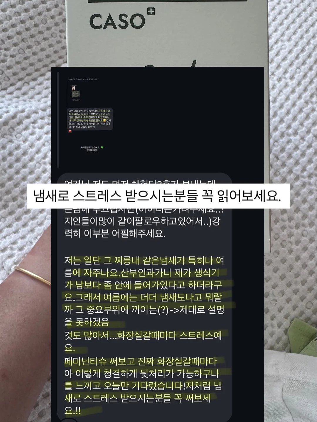 핑크 블루베리 묘목 4
