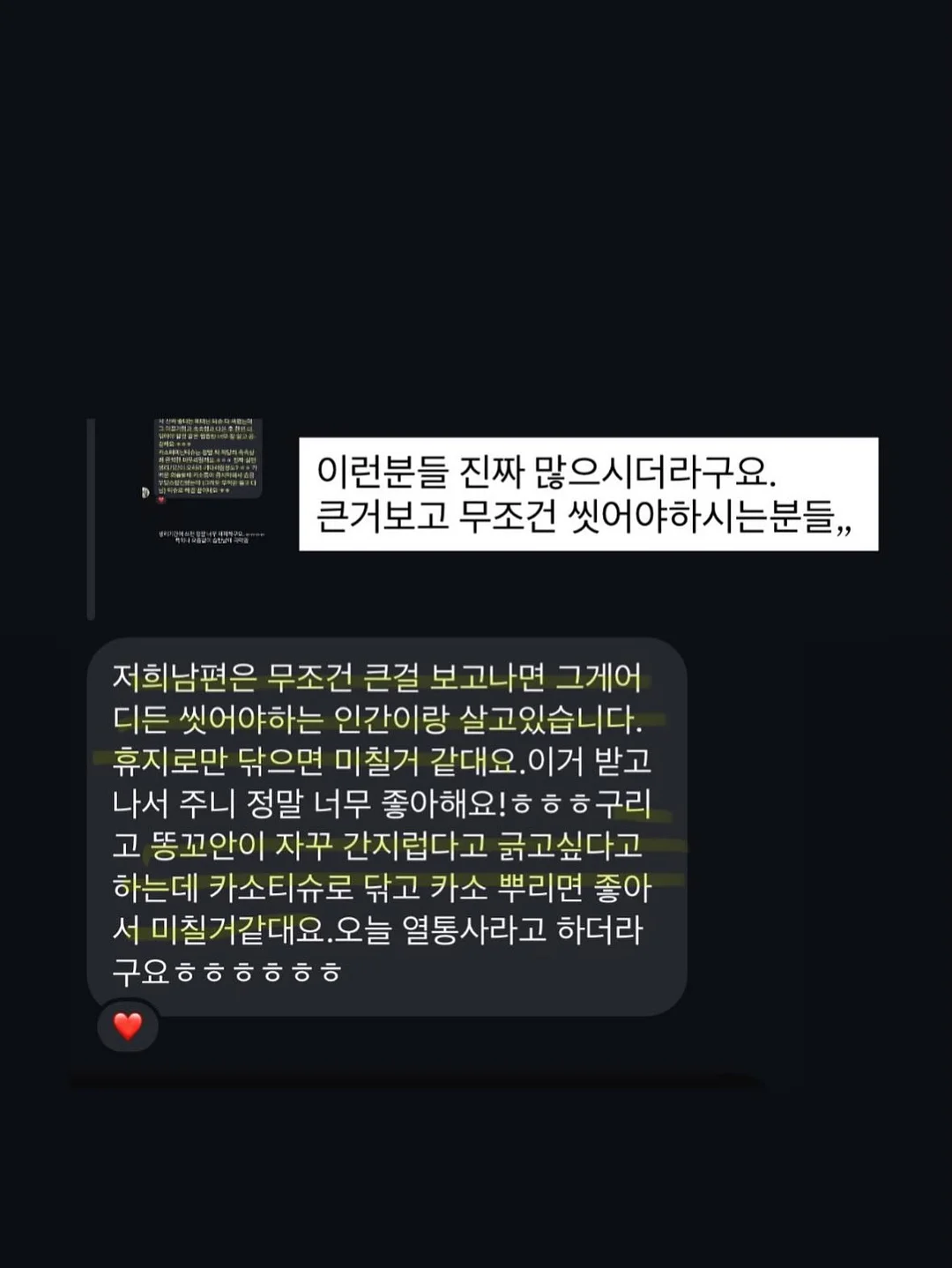 핑크 블루베리 묘목 6