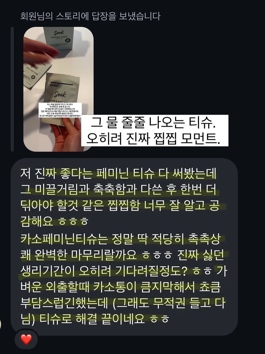 핑크 블루베리 묘목 7