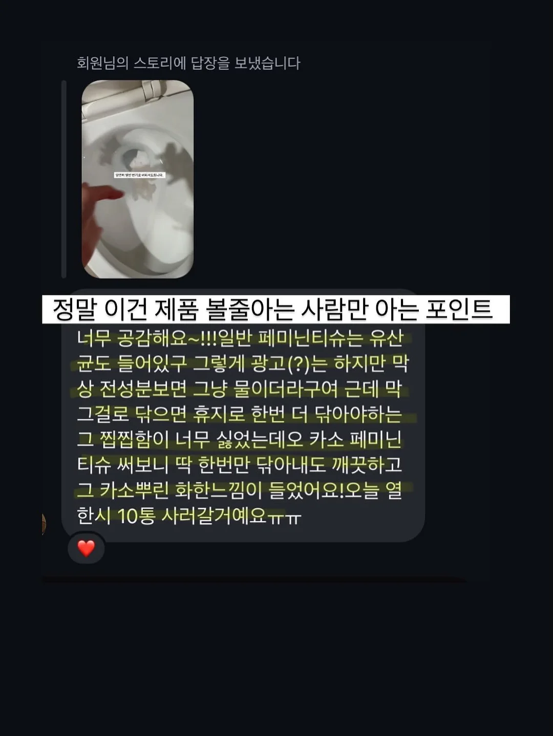 핑크 블루베리 묘목 9