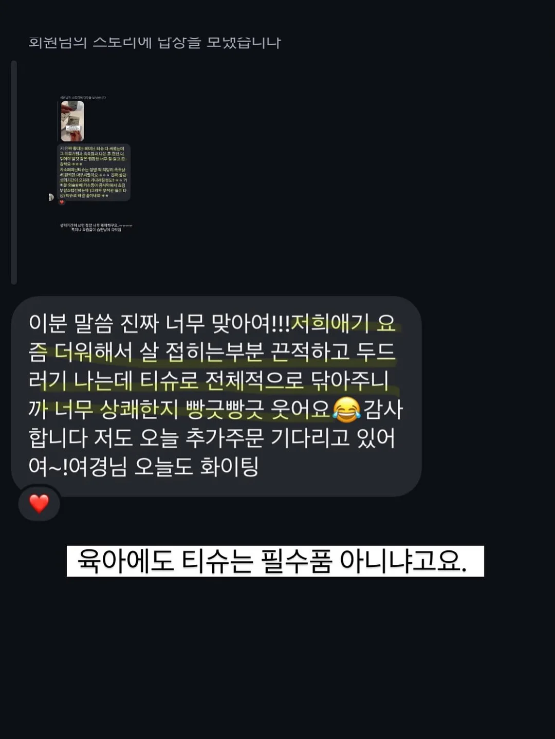 핑크 블루베리 묘목 10