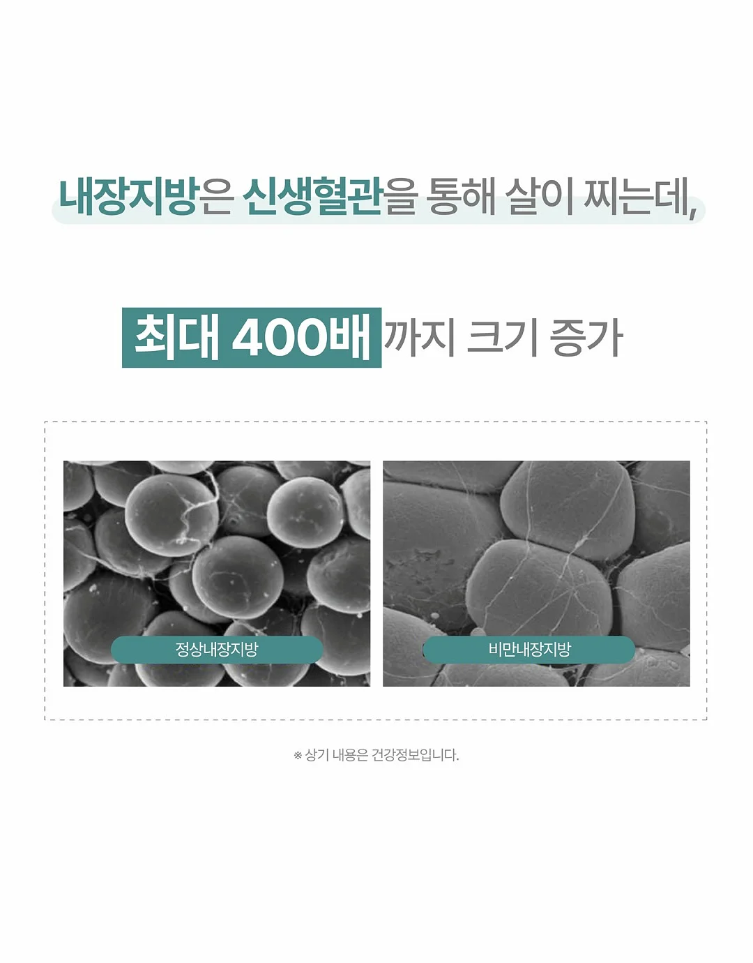 재무제표 분석 10